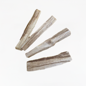 Legno di Palo santo (Bursera graveolens)